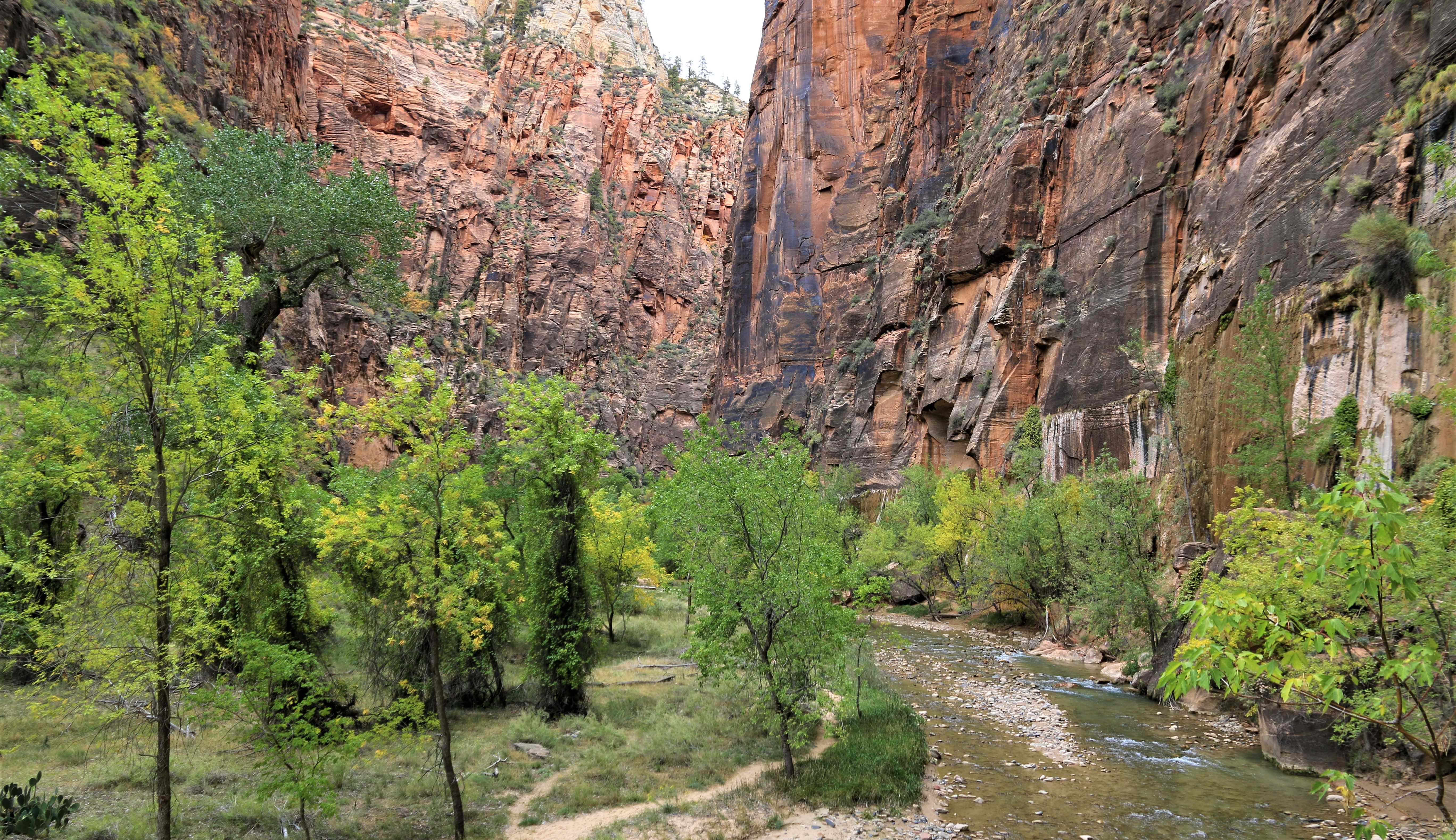 Zion NP